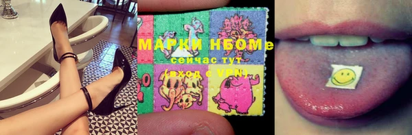 сатива Аркадак