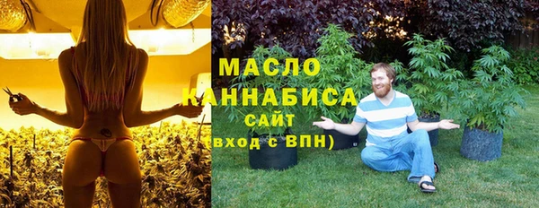 сатива Аркадак