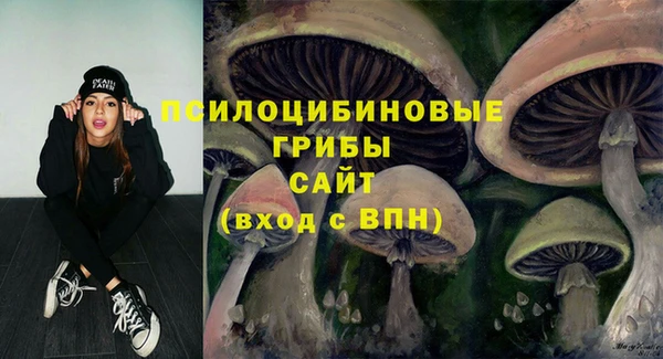 сатива Аркадак