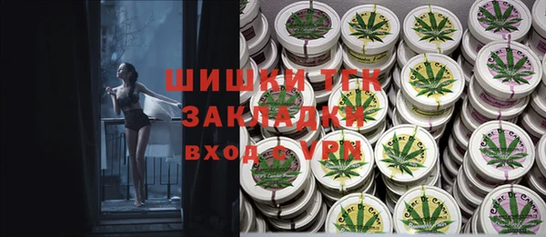 сатива Аркадак