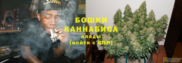 сатива Аркадак