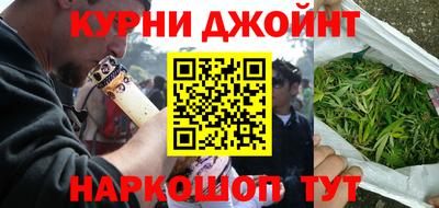 jwh Кингисепп