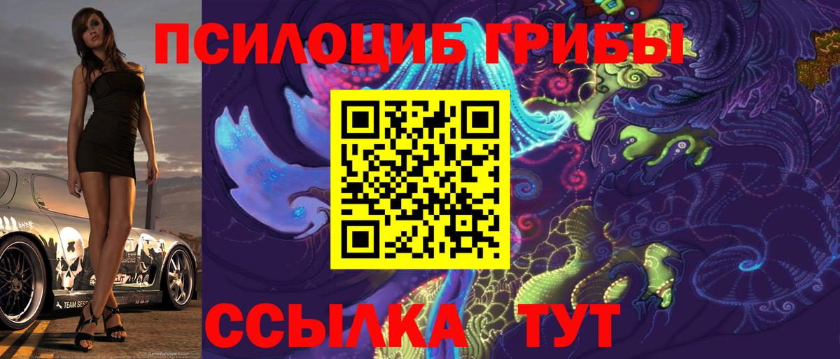 Усинск  Галлюциногенные грибы Psilocybine cubensis  Вход с VPN 